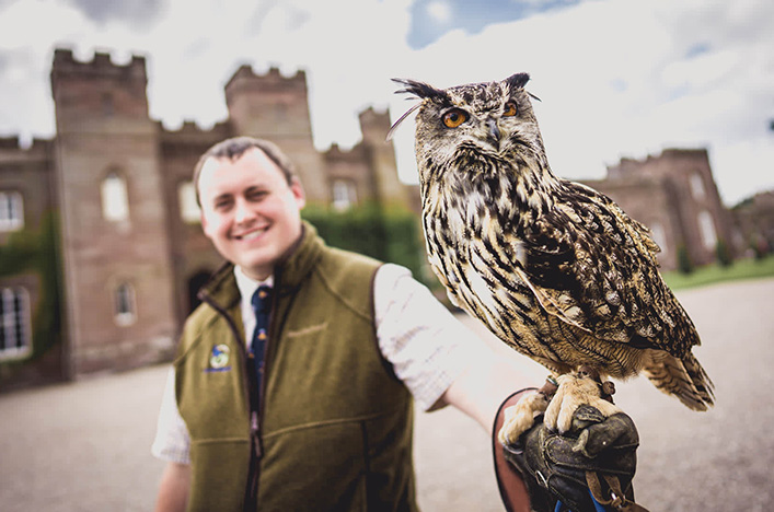 Falconry in Scotland