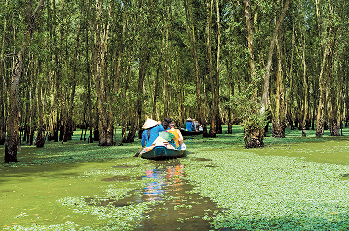 Tra Su Bird Sanctuary Boat Ride