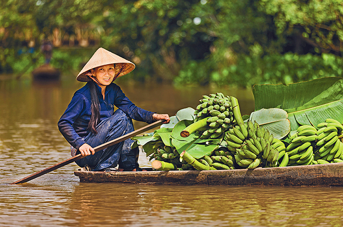 D-SR-SARC_Mekong_delta_Vietnam