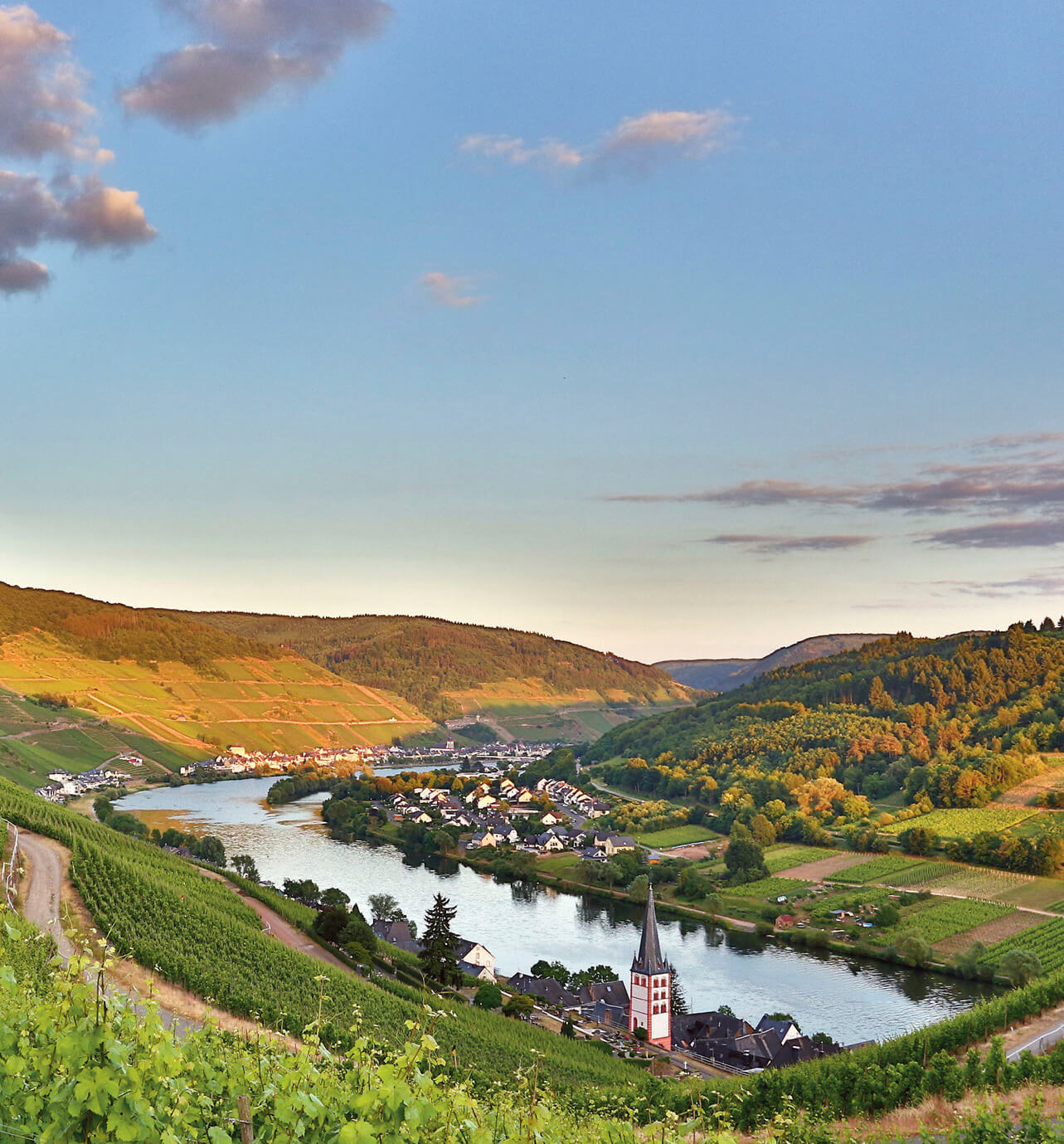 Green mountains surrounding the Moselle Valley