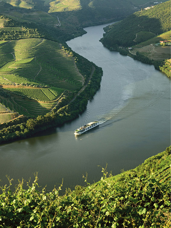 Bird’s eye shot of a white river cruise ship sailing through the Douro valley, with green fields and vineyards on either side 