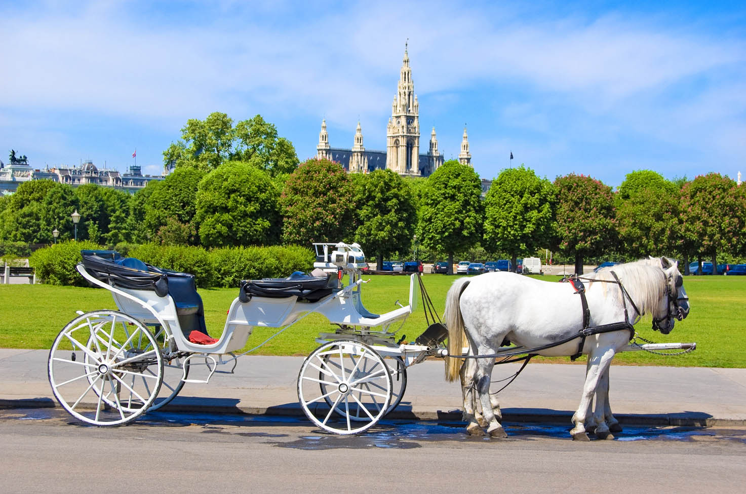 Horse and carriage in Vienna near one of the main squares 